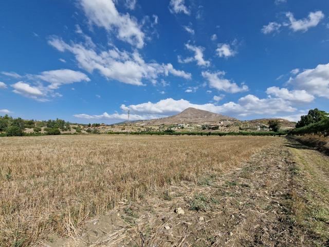 #22053 Terreno di 60 ettari per attività agricole o turistico ricettive in vendita - foto 10