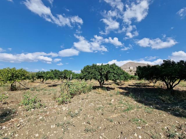 #22053 Terreno di 60 ettari per attività agricole o turistico ricettive in vendita - foto 11