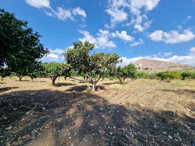 #22053 Terreno di 60 ettari per attività agricole o turistico ricettive in vendita - foto 12