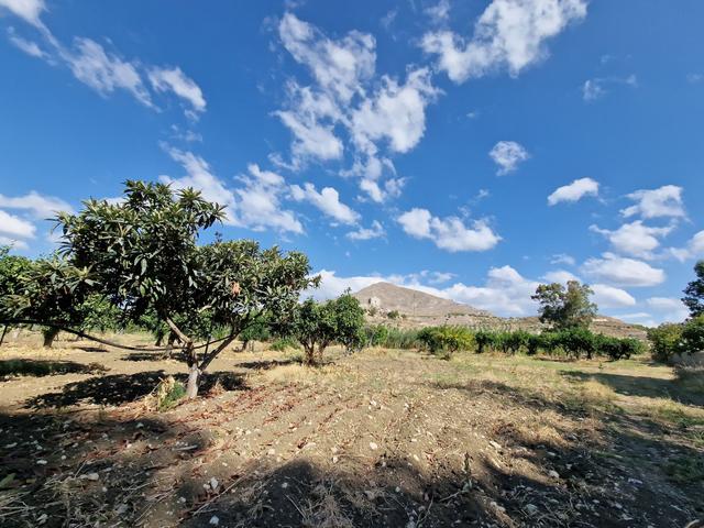 #22053 Terreno di 60 ettari per attività agricole o turistico ricettive in vendita - foto 13