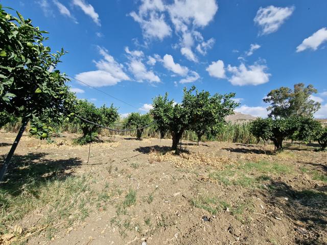 #22053 Terreno di 60 ettari per attività agricole o turistico ricettive in vendita - foto 14