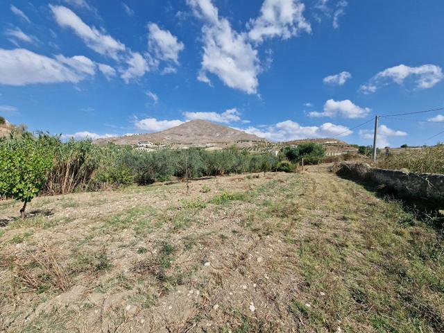 #22053 Terreno di 60 ettari per attività agricole o turistico ricettive in vendita - foto 16
