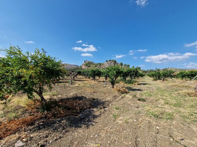 #22053 Terreno di 60 ettari per attività agricole o turistico ricettive in vendita - foto 17