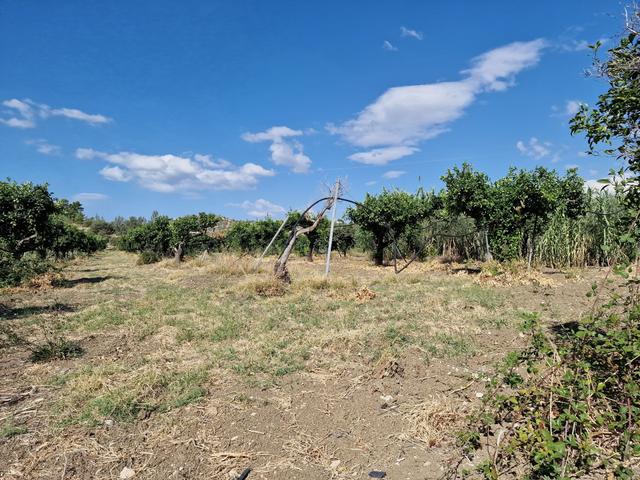 #22053 Terreno di 60 ettari per attività agricole o turistico ricettive in vendita - foto 19