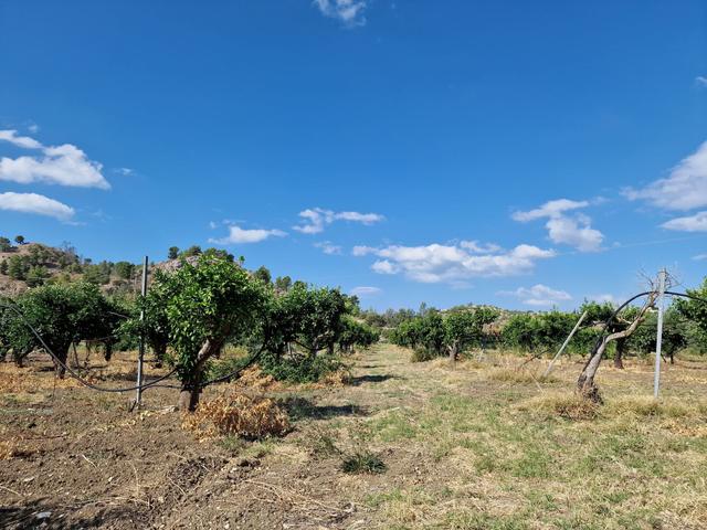 #22053 Terreno di 60 ettari per attività agricole o turistico ricettive in vendita - foto 20