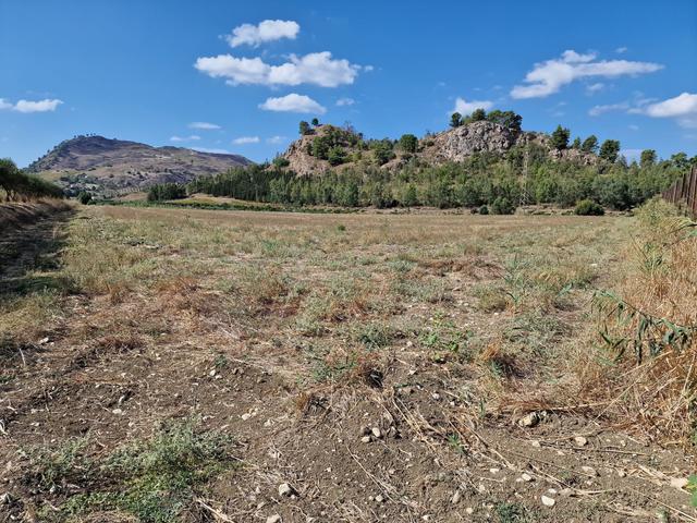 #22053 Terreno di 60 ettari per attività agricole o turistico ricettive in vendita - foto 21