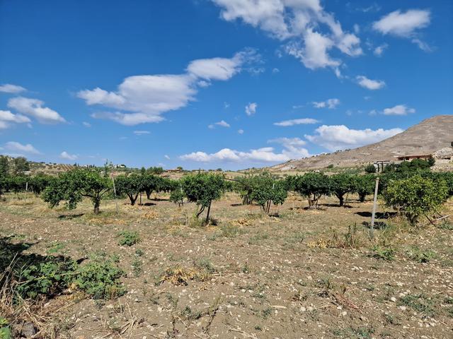 #22053 Terreno di 60 ettari per attività agricole o turistico ricettive in vendita - foto 22