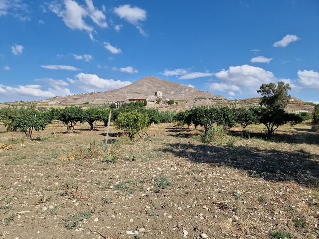 #22053 Terreno di 60 ettari per attività agricole o turistico ricettive in vendita - foto 23