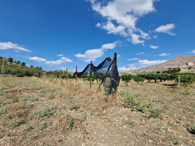 #22053 Terreno di 60 ettari per attività agricole o turistico ricettive in vendita - foto 25