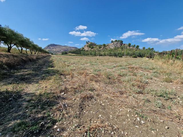 #22053 Terreno di 60 ettari per attività agricole o turistico ricettive in vendita - foto 26
