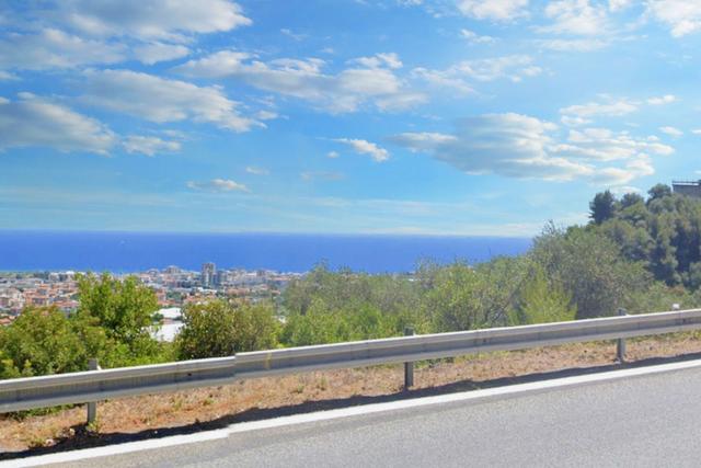 #22054 Terreni agricoli boschivi di 801.645 mq con fabbricati in vendita - foto 3