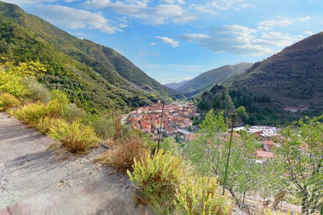 #22054 Terreni agricoli boschivi di 801.645 mq con fabbricati in vendita - foto 5