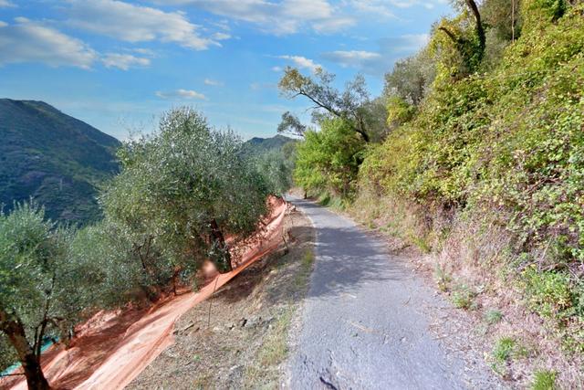 #22054 Terreni agricoli boschivi di 801.645 mq con fabbricati in vendita - foto 6