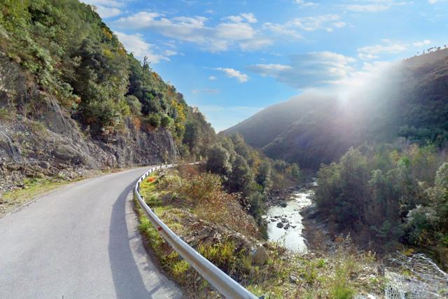 #22054 Terreni agricoli boschivi di 801.645 mq con fabbricati in vendita - foto 8