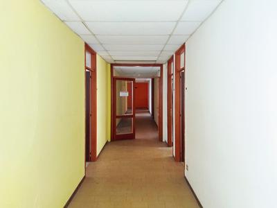 Grandi dimensioni in vendita