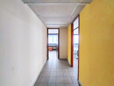 Grandi dimensioni in vendita
