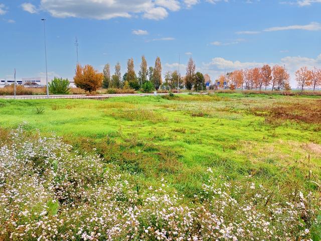 #22267 Terreno edificabile residenziale di 768 mq (part 1294) in vendita - foto 3
