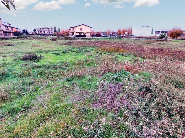 #22270 Terreno edificabile residenziale di 768 mq (part 1299) in vendita - foto 6