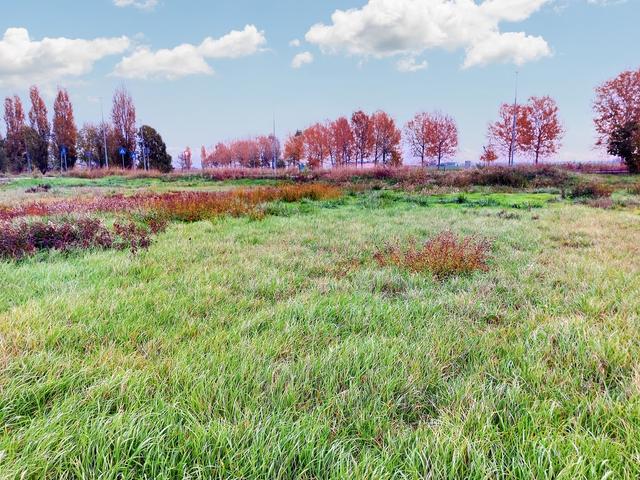 #22270 Terreno edificabile residenziale di 768 mq (part 1299) in vendita - foto 8