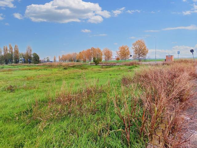 #22287 Undici terreni edificabili residenziali in vendita - foto 12