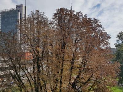 Appartamenti in vendita