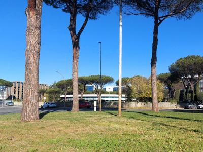 Complessi commerciali in vendita