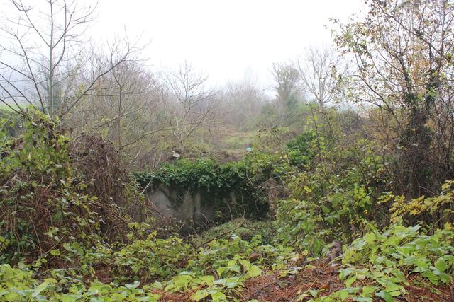 #22708 Area edificabile per lottizzazione residenziale in vendita - foto 4