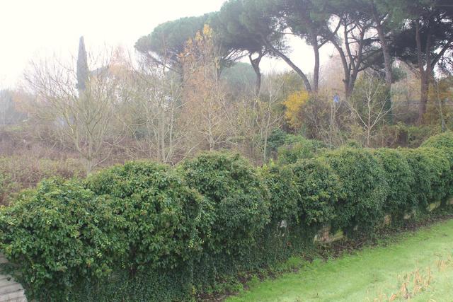 #22708 Area edificabile per lottizzazione residenziale in vendita - foto 8