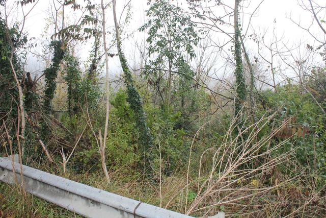 #22708 Area edificabile per lottizzazione residenziale in vendita - foto 14