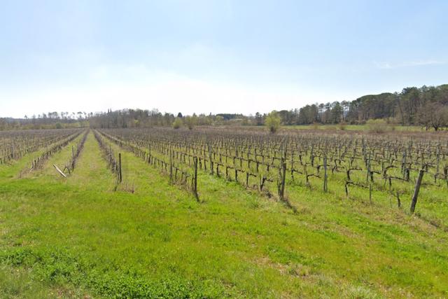 #22764 Terreni agricoli in vendita - foto 1