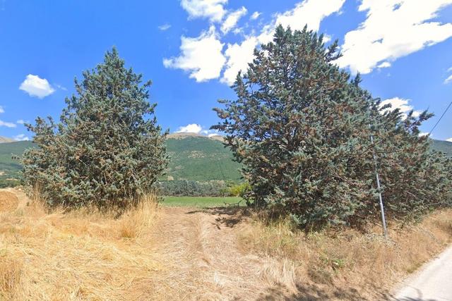 #22777 Terreno agricolo in zona di campagna in vendita - foto 3