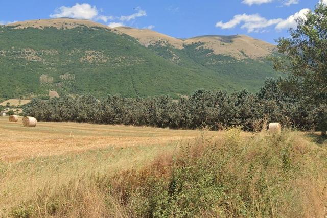 #22777 Terreno agricolo in zona di campagna in vendita - foto 5