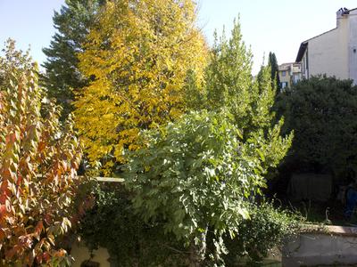 Appartamenti in vendita