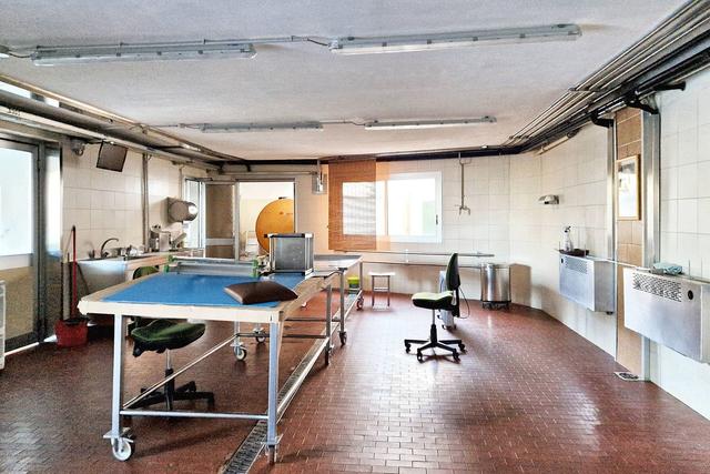 #22815 Laboratorio con magazzino e cortile condiviso in vendita - foto 8
