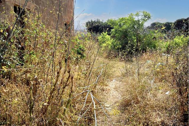 #22823 Terreno per attività estrattive 16060 mq in vendita - foto 10