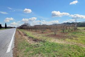 Agricoli in vendita