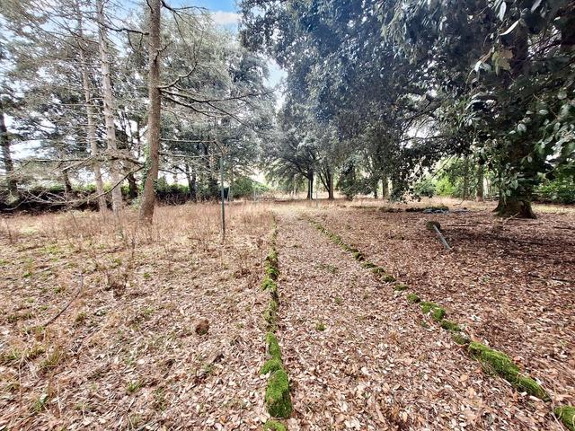 #22909 Giardino storico di 10.450 mq in vendita - foto 3