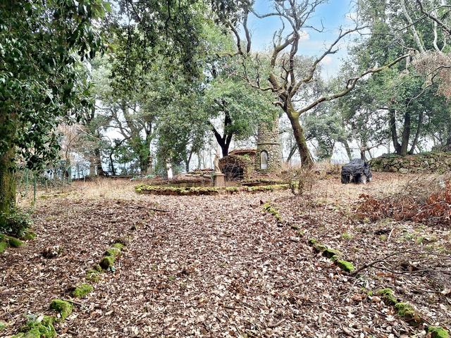 #22909 Giardino storico di 10.450 mq in vendita - foto 4