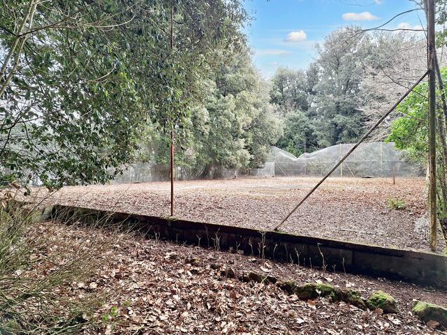 #22909 Giardino storico di 10.450 mq in vendita - foto 16