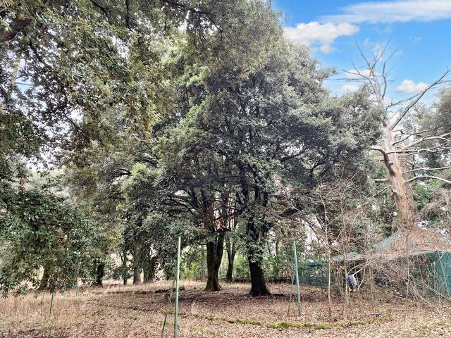 #22909 Giardino storico di 10.450 mq in vendita - foto 17