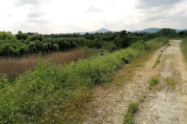Agricoli in vendita