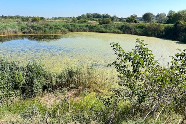 Agricoli in vendita
