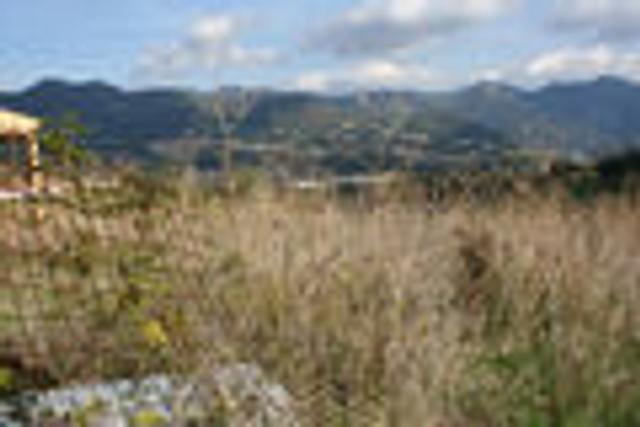 #2298 Terreno edificabile in zona residenziale di 997 mq in vendita - foto 4