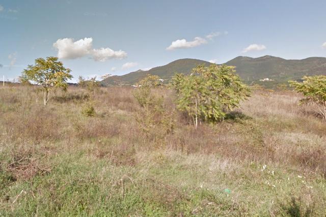 #2301 Terreni edificabili in zona residenziale di 16.619 mq in vendita - foto 5