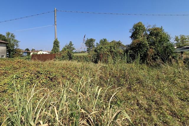 #23010 Appezzamento agricolo con accesso strada in vendita - foto 2