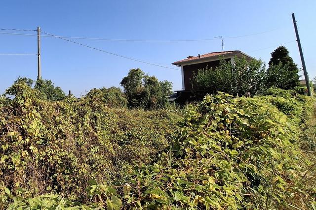 #23010 Appezzamento agricolo con accesso strada in vendita - foto 3