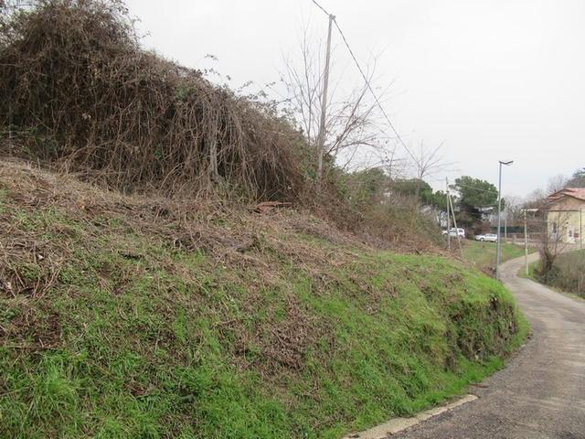 #23029 Terreni agricoli con fabbricati precari in vendita - foto 8