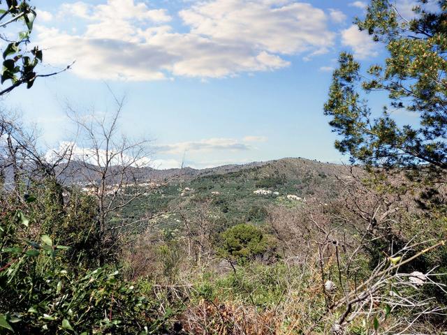 #23177 Terreni agricoli nel comune di San Bartolomeo al Mare in vendita - foto 8