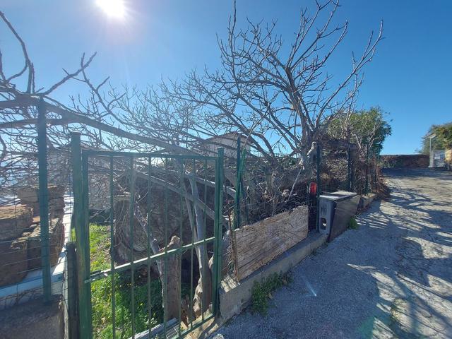 #23184 Terreni agricoli con vasca in vendita - foto 4