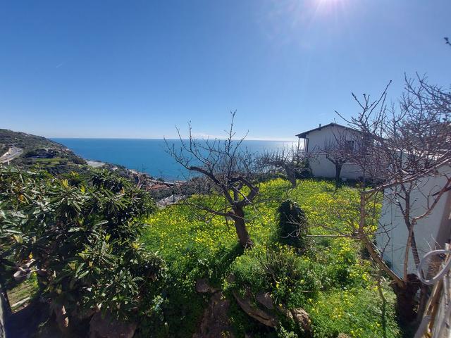 #23184 Terreni agricoli con vasca in vendita - foto 5